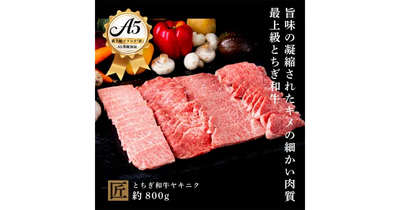 【ふるさと納税】とちぎ和牛 A5 焼き肉用 約 800g｜ 国産 和牛 牛 肉 生産者 認定 銘柄 A5 旨味 うまみ きめ細かい 品質 柔らかく 芸術品 特産品 栃木県 真岡市 送料無料 栃木県共通返礼品