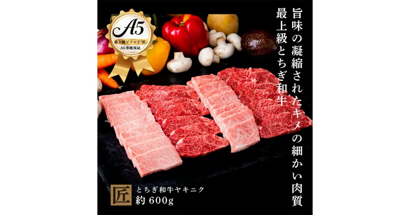 【ふるさと納税】とちぎ和牛 A5 焼き肉用 約 600g｜ 国産 和牛 牛 肉 生産者 認定 銘柄 A5 旨味 うまみ きめ細かい 品質 柔らかく 芸術品 特産品 栃木県 真岡市 送料無料 栃木県共通返礼品