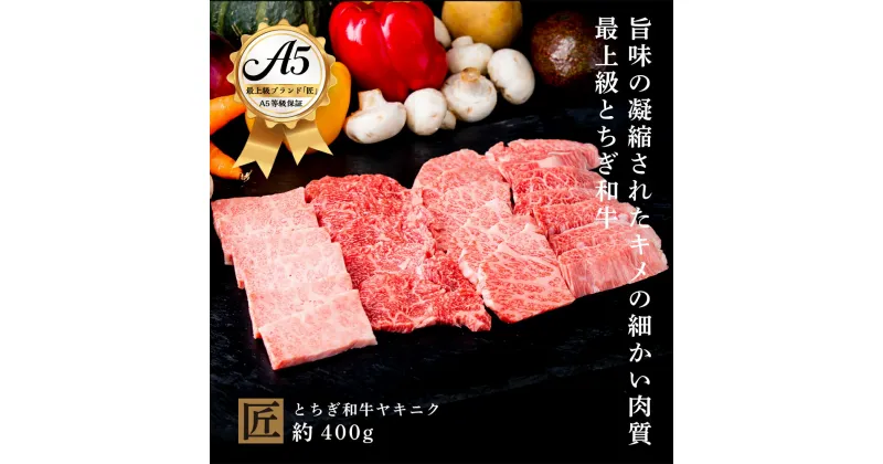 【ふるさと納税】とちぎ和牛 A5 焼き肉用 約 400g｜ 国産 和牛 牛 肉 生産者 認定 銘柄 A5 旨味 うまみ きめ細かい 品質 柔らかく 芸術品 特産品 栃木県 真岡市 送料無料 栃木県共通返礼品