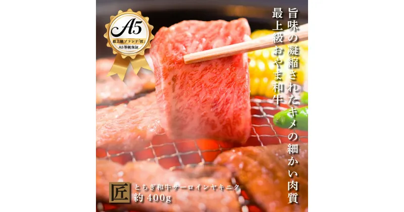 【ふるさと納税】とちぎ和牛 A5サーロイン 焼肉用 約400g｜ 国産 和牛 牛 肉 生産者 認定 銘柄 A5 旨味 うまみ きめ細かい サシ 霜降り とろける 品質 柔らかく 美味しい おいしい 芸術品 特産品 栃木県 真岡市 送料無料 栃木県共通返礼品