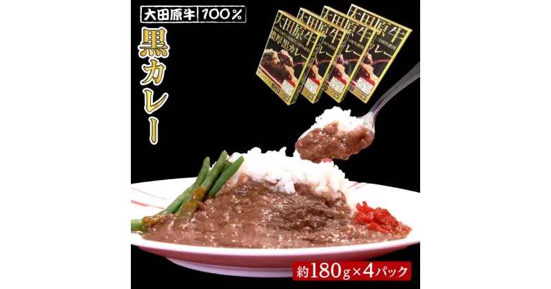 【ふるさと納税】大田原牛 100％ 黒カレー 4パックセット | レトルト カレー 和牛 牛肉 ビーフカレー 高級 | 食品 加工食品 人気 おすすめ 送料無料