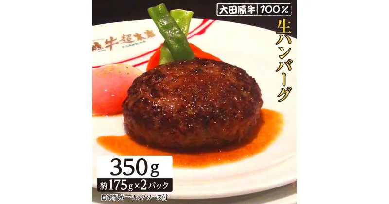 【ふるさと納税】大田原牛 100％ 生ハンバーグ 2パックセット | ブランド 和牛 牛肉 高級 ハンバーグ 自家製 ソース付き | 肉 お肉 にく 食品 人気 おすすめ 送料無料 ギフト