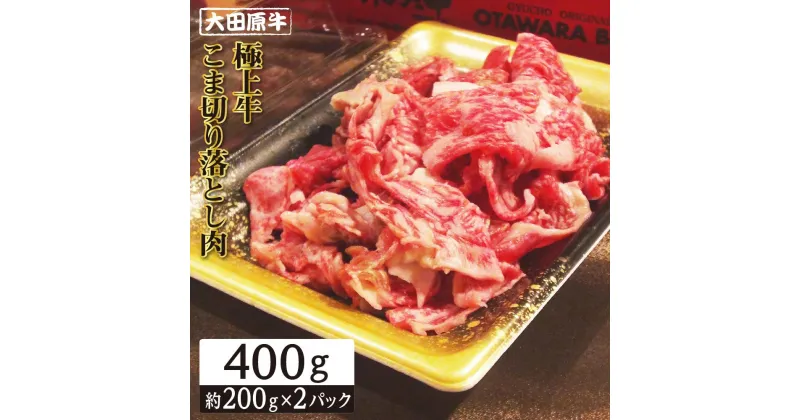 【ふるさと納税】牛肉 大田原牛 極上 小間切り落し 400g ( 200g × 2P ) | 肉 お肉 にく 切り落し 切りおとし こま切れ 細切れ 最高級 和牛 冷凍 お取り寄せ グルメ