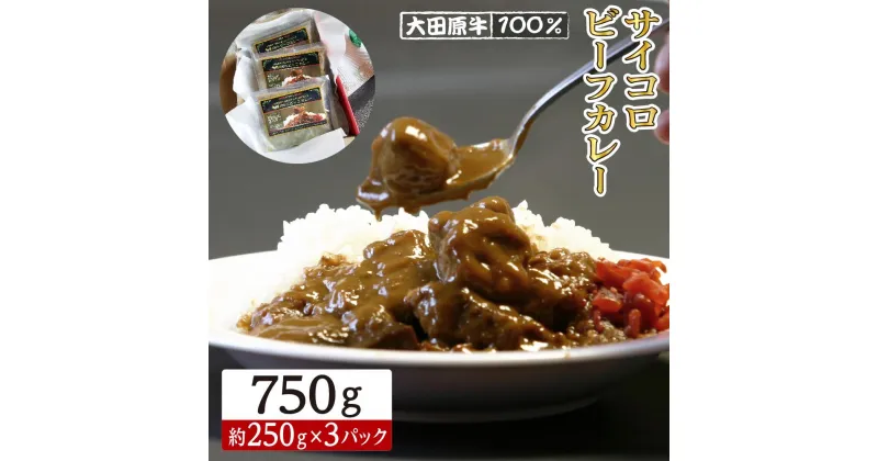 【ふるさと納税】大田原牛 100％ サイコロ ビーフカレー 3パックセット | レトルト カレー 和牛 牛肉 ビーフカレー 高級 | 食品 加工食品 人気 おすすめ 送料無料