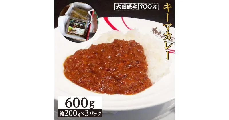 【ふるさと納税】大田原牛 100％ キーマカレー 3パックセット | レトルト カレー 和牛 牛肉 高級