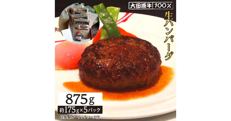 【ふるさと納税】大田原牛 100％ 生ハンバーグ 5パックセット | ブランド 和牛 牛肉 高級 ハンバーグ 自家製 ソース付き | 肉 お肉 にく 食品 人気 おすすめ 送料無料 ギフト