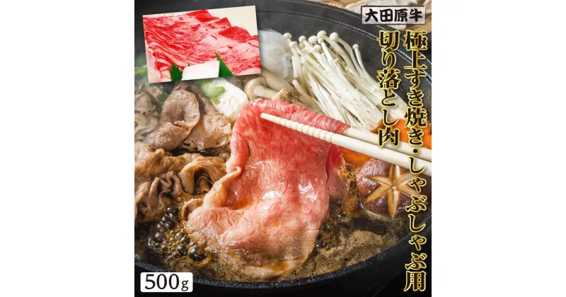 【ふるさと納税】大田原牛 極上 すき焼き・しゃぶしゃぶ用切り落とし肉（500g）| ブランド牛 和牛 牛肉 切り落とし 高級 すき焼き しゃぶしゃぶ | 肉 お肉 にく 食品 人気 おすすめ 送料無料 ギフト