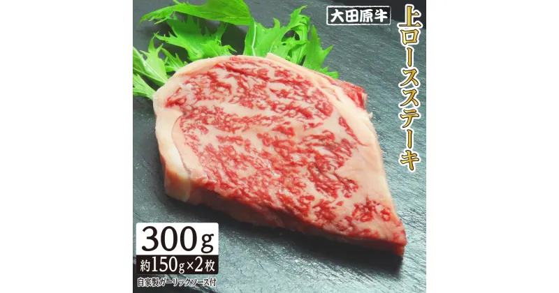 【ふるさと納税】大田原牛 上ロース ステーキ 2枚セット | ブランド牛 和牛 牛肉 高級 ロース 300g