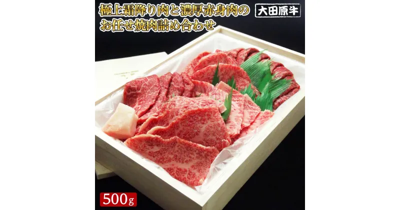 【ふるさと納税】大田原牛 極上 霜降り肉と濃厚赤身肉のお任せ 焼肉 詰め合わせ（500g）| ブランド牛 和牛 牛肉 霜降り 赤身 食べ比べ 高級