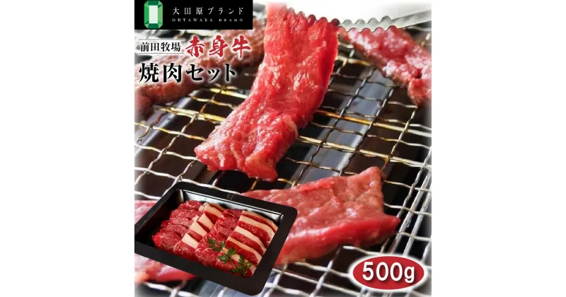 【ふるさと納税】大田原ブランド認定牛 前田牧場の赤身牛 焼肉セット 500g | 和牛 牛肉 高級 ブランド牛 焼肉 | 肉 お肉 にく 食品 人気 おすすめ 送料無料 ギフト