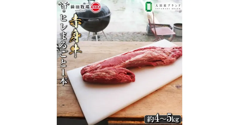 【ふるさと納税】【大田原 前田牧場直送 赤身牛】ヒレまるごと1本（4～5kg） | ブランド牛 牛肉 フィレ ステーキ ヒレ 産地直送 産直