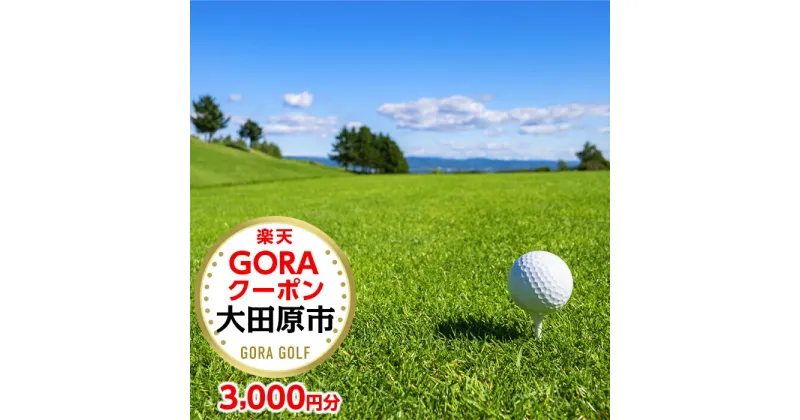 【ふるさと納税】栃木市大田原市の対象ゴルフ場で使える楽天GORAクーポン 寄付額10,000円