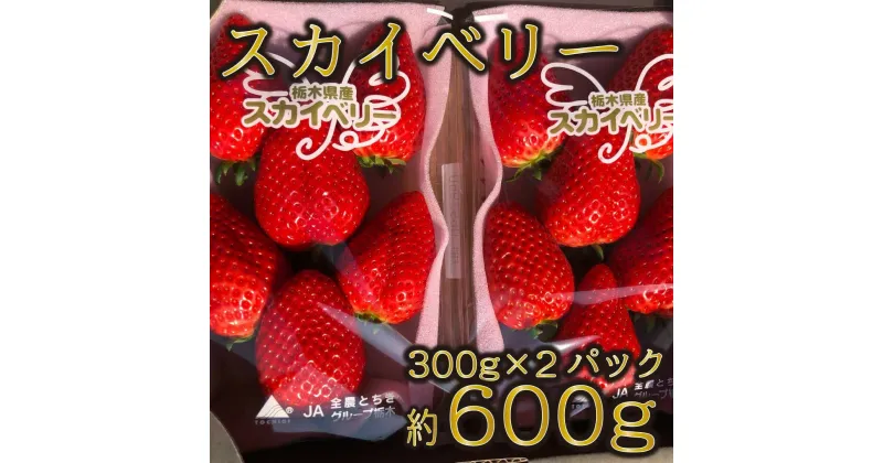 【ふるさと納税】 [12月上旬より順次発送予定]朝採りスカイベリー 300g×2パック｜いちご イチゴ 苺 フルーツ 果物 産地直送 矢板市産 栃木県産 先行予約 [0328]