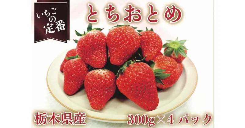 【ふるさと納税】[12月中旬より順次発送予定・いちごの定番] とちおとめ1200g｜いちご イチゴ 苺 フルーツ 果物 産地直送 栃木県産 矢板市産 先行予約 [0353]