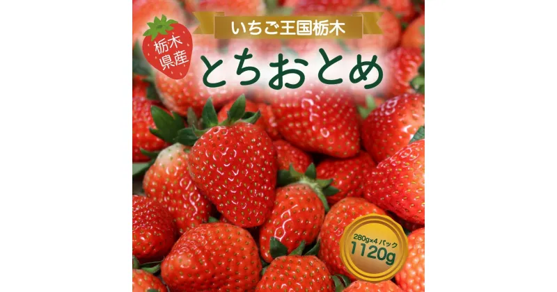 【ふるさと納税】とちおとめ 1120g [2024年12月初旬より順次発送予定] 朝獲れ新鮮 秘密にしたい美味しさ｜いちご イチゴ 苺 フルーツ 果物 産地直送 先行予約 栃木県産 [0587]