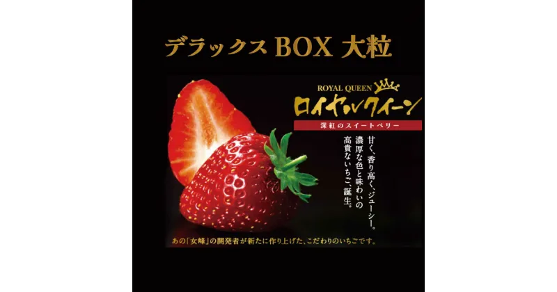 【ふるさと納税】【2025年1月中旬より順次発送】 果肉まで真っ赤な深紅のスイートベリー『58ロハスファームのロイヤルクイーン』1箱｜いちご 苺 果物 フルーツ 産地直送 先行予約 [0578]