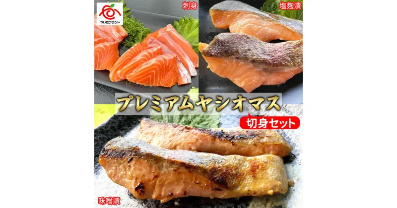 【ふるさと納税】栃木県のブランド魚「プレミアムヤシオマス」の切身セット 味噌漬、塩麹漬、刺身(生食用)｜鮮魚 鱒 国産 産地直送 [0366]