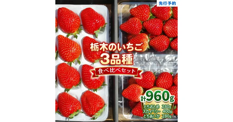 【ふるさと納税】いちごの贅沢！栃木の3品種食べ比べセット《12月より順次出荷》｜とちあいか とちおとめ スカイベリー いちご 苺 フルーツ 果物 産地直送 [0562]