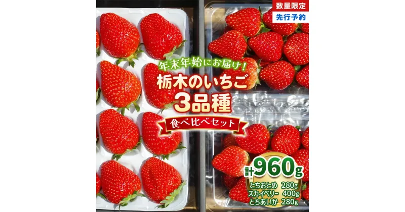 【ふるさと納税】[数量限定] 年末年始にお届け！贅沢な栃木のいちご3種食べ比べセット｜とちあいか とちおとめ スカイベリー いちご 苺 フルーツ 果物 産地直送 [0565]