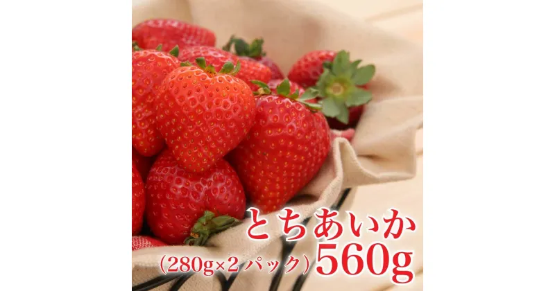 【ふるさと納税】[2024年12月下旬から順次発送] 完熟朝摘み とちあいか 280g×2パックセット｜いちご 苺 イチゴ とちあいか フルーツ 果物 産地直送 先行予約 [0594]