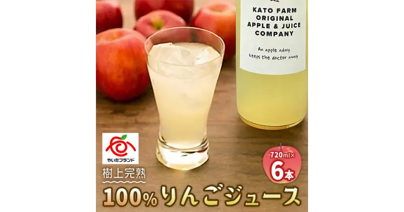 【ふるさと納税】栃木県矢板市産 樹上完熟100％りんごジュース 720ml×6本入｜林檎 リンゴ 果汁100% 産地直送 [0419]