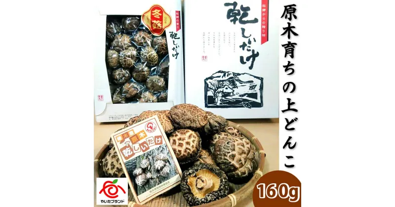 【ふるさと納税】肉厚・厳選！原木育ちの上どんこ160g｜栃木県 矢板市 しいたけ 椎茸 産地直送 [0333]