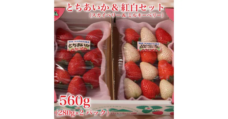 【ふるさと納税】[2024年12月下旬から順次発送] 完熟朝摘みとちあいか 280gとスカイベリー＆ミルキーベリー混合280g の2パックセット｜いちご 苺 イチゴ とちあいか スカイベリー ミルキーベリー フルーツ 果物 産地直送 先行予約 [0596]