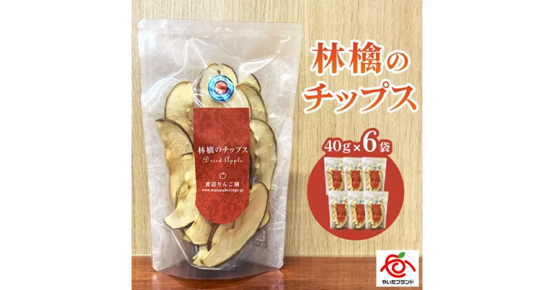 【ふるさと納税】林檎のチップス6袋入り｜リンゴ りんご ドライフルーツ お菓子 おやつ スイーツ [0390]