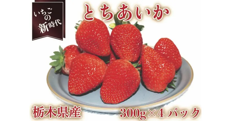 【ふるさと納税】[12月中旬より順次発送予定・いちごの新時代] とちあいか4パック1200g｜いちご イチゴ 苺 フルーツ 果物 産地直送 栃木県産 矢板市産 先行予約 [0424]