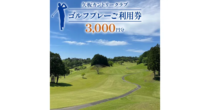 【ふるさと納税】矢板カントリークラブ ご利用券 3000円分｜ゴルフ場 観光 旅行 チケット クーポン [0449]