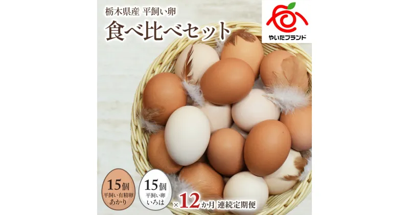 【ふるさと納税】[平飼い卵食べ比べ30個×12か月連続定期便] 平飼い有精卵あかり・平飼い卵いろは 各15個｜矢板市産 こだわり卵 たまご 玉子 生卵 鶏卵 [0441]