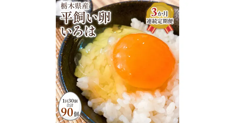 【ふるさと納税】[平飼い卵30個×3か月連続定期便] 全体的に甘みとコクのある黄身【平飼い卵いろは】｜矢板市産 こだわり卵 たまご 玉子 生卵 鶏卵 [0434]