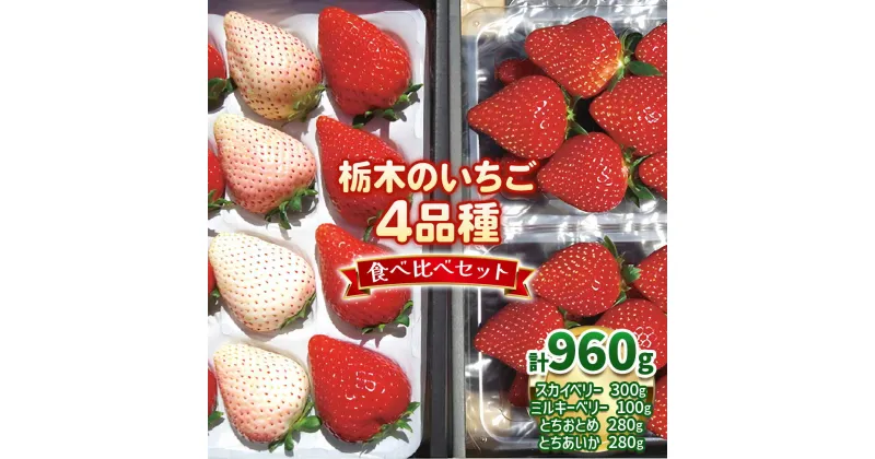 【ふるさと納税】栃木のいちご4品種 食べ比べセット｜とちあいか とちおとめ ミルキーベリー スカイベリー いちご 苺 フルーツ 果物 アソート 産地直送 [0524]