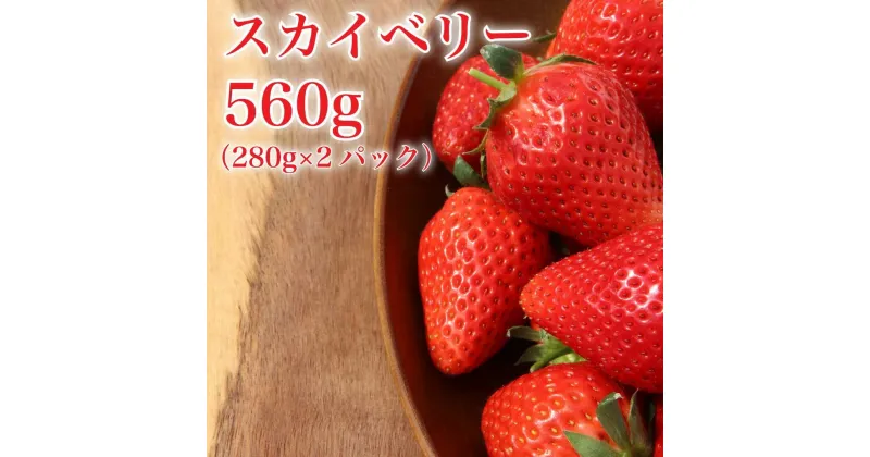 【ふるさと納税】[2024年12月下旬から順次発送] 完熟朝摘み スカイベリー 280g×2パックセット｜いちご 苺 イチゴ スカイベリー フルーツ 果物 産地直送 先行予約 [0595]