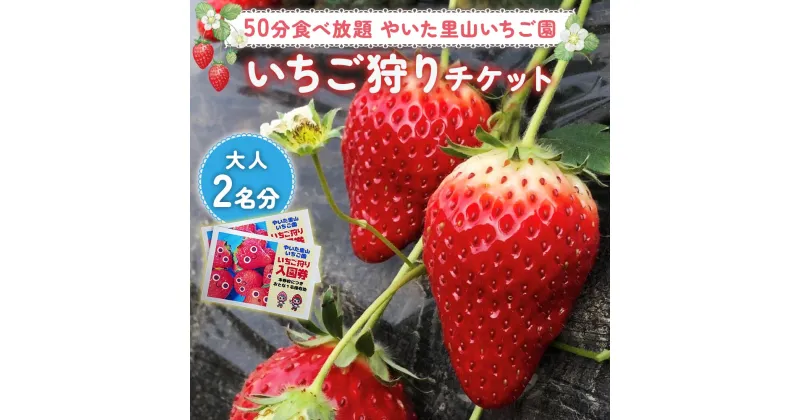 【ふるさと納税】50分 食べ放題 いちご狩り チケット！やいた里山いちご園【大人2名分】｜とちあいか スカイベリー とちおとめ かおり野 イチゴ 苺 いちご 収穫体験 観光 旅行 フルーツ 果物 果実 栃木県 矢板市 [0598]