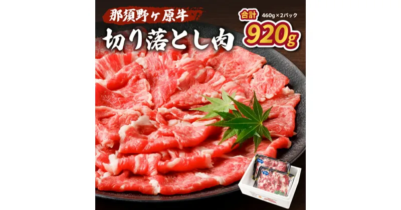 【ふるさと納税】那須野ヶ原牛 切り落とし 460g×2パック 栃木県 那須塩原市 JAS認定農場 牛肉 ブランド牛 食品 国産 お祝い 誕生日 記念日 お取り寄せ グルメ 肉 カレー シチュー 送料無料