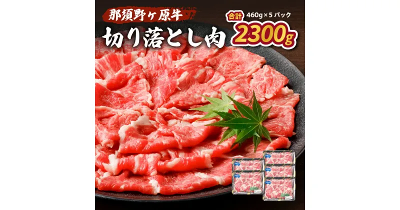 【ふるさと納税】那須野ヶ原牛 切り落とし 460g×5パック 栃木県 那須塩原市 JAS認定農場 牛肉 ブランド牛 カレー シチュー 肉 肉料理 食品 国産 お取り寄せ グルメ 送料無料