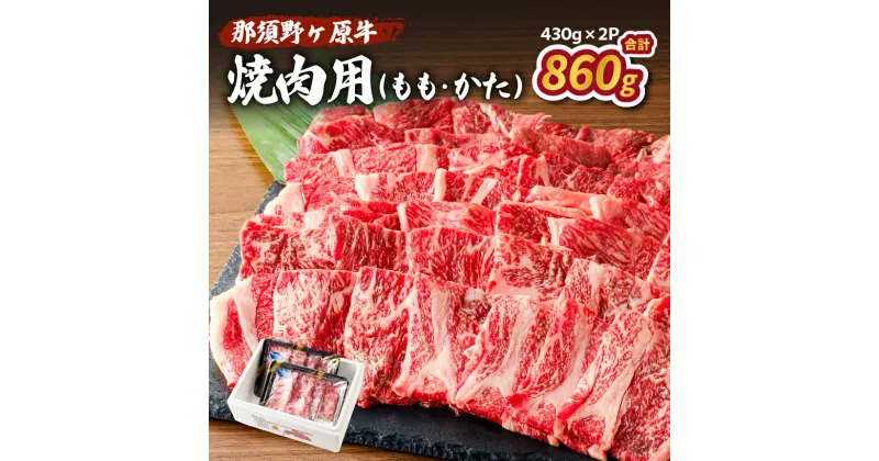 【ふるさと納税】 那須野ヶ原牛 焼肉用 430g×2パック 栃木県 那須塩原市 JAS認定農場 食品 国産 牛肉 ブランド牛 肉 肉料理 牛もも 牛かた 焼肉 BBQ バーベキュー お取り寄せ グルメ 送料無料