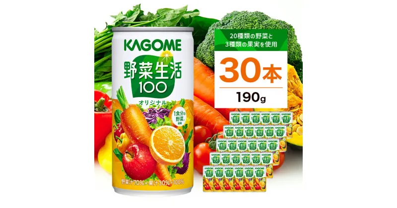 【ふるさと納税】カゴメ 野菜生活100 オリジナル 190g缶×30本 栃木県 那須塩原市 飲料 セット 野菜ジュース 野菜 果実飲料 ミックスジュース 野菜飲料 防災 備蓄 ジュース ドリンク 長期保存 送料無料