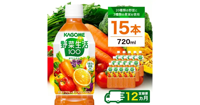 【ふるさと納税】【定期便12ヵ月】カゴメ　野菜生活100(オリジナル)720ml PET×15本 1ケース 毎月届く 12ヵ月 12回コース【20種類の野菜　3種類の果実　720ml　15本　野菜　オリジナル 栃木県 那須塩原市 】