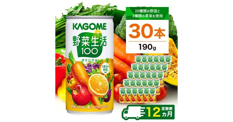 【ふるさと納税】 定期便12ヵ月 カゴメ 野菜生活100 オリジナル 190g缶×30本 1ケース 毎月届く 12ヵ月 12回コース 栃木県 那須塩原市 飲料 セット 野菜ジュース 野菜 果実飲料 ミックスジュース 野菜飲料 防災 備蓄 ジュース ドリンク 長期保存 送料無料