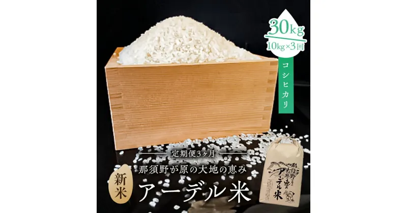 【ふるさと納税】【令和6年産米】『定期便3ヶ月』那須野が原の大地の恵み アーデル米（コシヒカリ1袋10kg）＜出荷開始：2024年10月下旬～＞ 栃木県 那須塩原市 お米 ツヤ コシ 粘り 風味豊か 送料無料