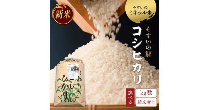 【ふるさと納税】【選べるkg数・精米度合】 そすいのミネラル米 コシヒカリ 出荷時精米 そすいの郷 【令和6年産】米 お米 ミネラル米 ブランド米 ごはん 濃い味 国産米 白米 玄米 食品 送料無料