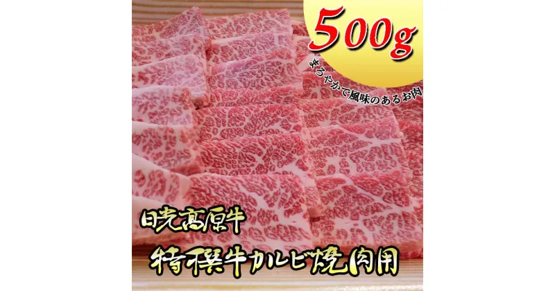 【ふるさと納税】日光高原牛特撰牛カルビ焼肉用500g入 肉 霜降り 焼肉 国産牛 グルメ 栃木県 送料無料