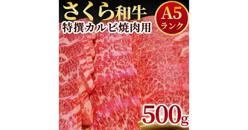 【ふるさと納税】A5さくら和牛特撰カルビ焼肉用500g 肉 焼肉 国産牛 グルメ 送料無料