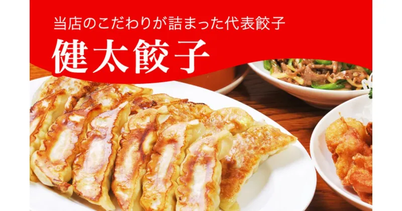 【ふるさと納税】「宇都宮餃子館」健太餃子 960g（48個）｜冷凍餃子 冷凍食品 ギョーザ グルメ 食品 惣菜 中華惣菜 点心 中華 送料無料