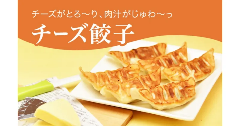 【ふるさと納税】「宇都宮餃子館」チーズ餃子 960g（48個）｜ギョーザ 冷凍餃子 冷凍食品 グルメ 食品 惣菜 中華惣菜 点心 中華 送料無料