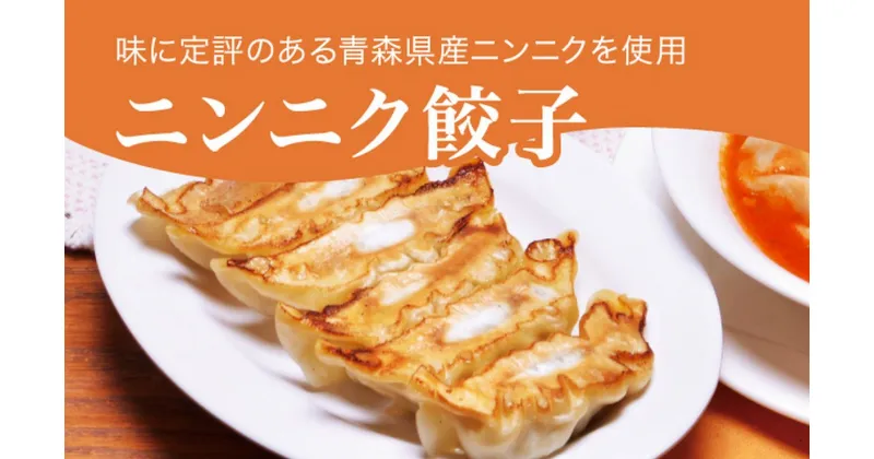 【ふるさと納税】「宇都宮餃子館」ニンニク餃子 960g（48個）｜ギョーザ 冷凍餃子 冷凍食品 グルメ 食品 惣菜 中華惣菜 点心 中華 送料無料