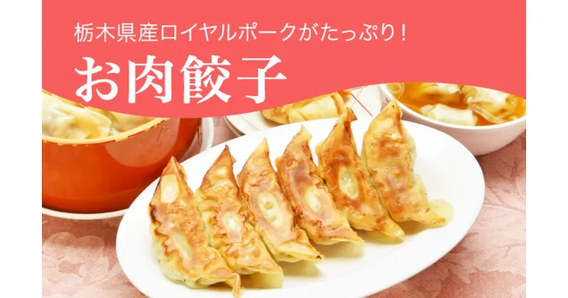 【ふるさと納税】「宇都宮餃子館」お肉餃子 960g（48個）｜ギョーザ 冷凍餃子 冷凍食品 グルメ 食品 惣菜 中華惣菜 点心 中華 送料無料