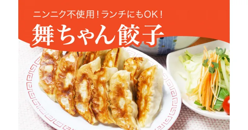 【ふるさと納税】「宇都宮餃子館」舞ちゃん餃子 960g（48個）｜ギョーザ 冷凍餃子 冷凍食品 グルメ 食品 惣菜 中華惣菜 点心 中華 送料無料